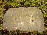 image of grave number 56341